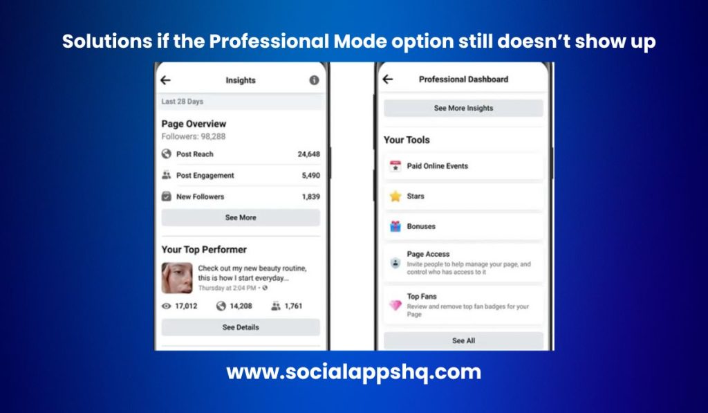 Alternative solutions if the Professional Mode option still doesn't show up