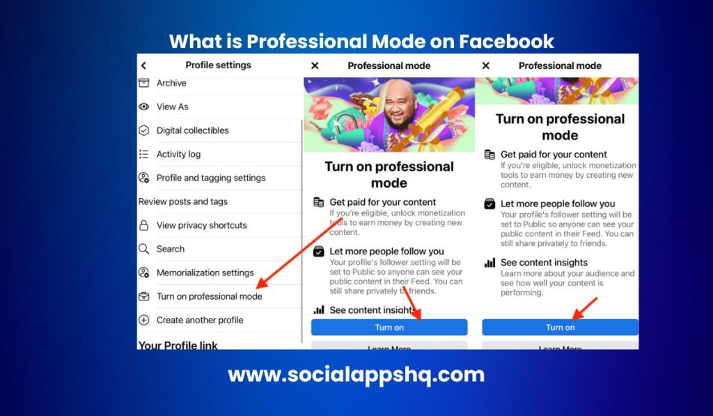 What is Professional Mode on Facebook?