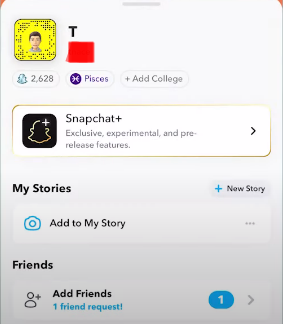 profile on snapchat